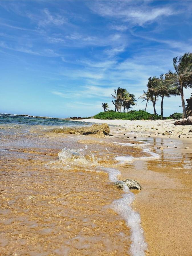 Vive Utila - Villa Luaran gambar