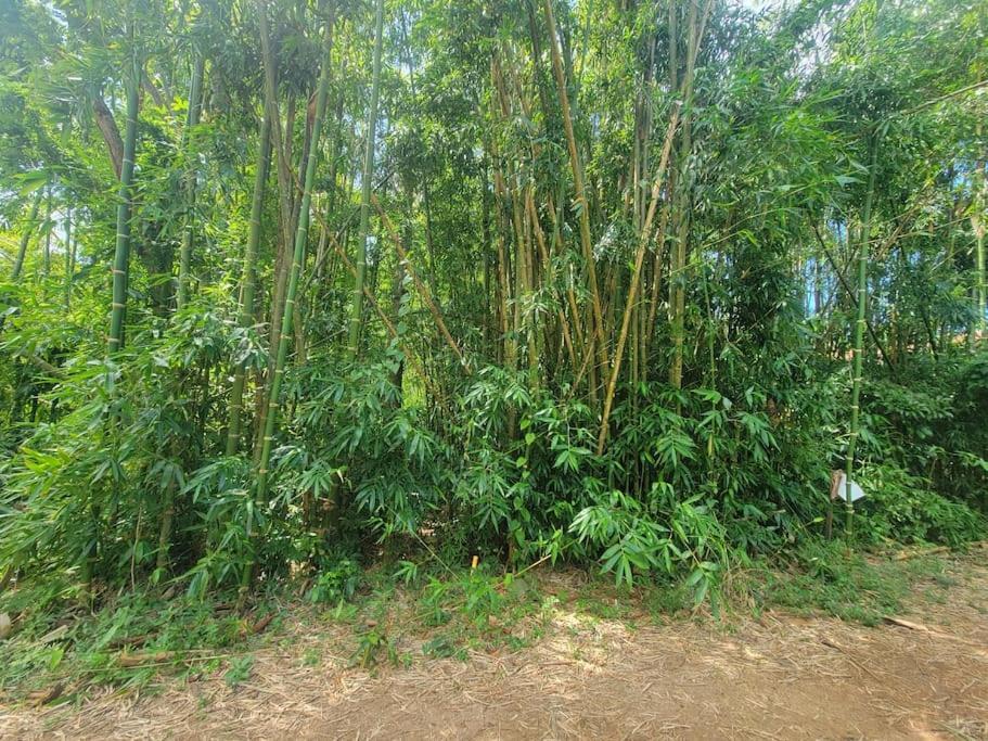 Vive Utila - Villa Luaran gambar