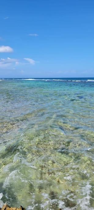 Vive Utila - Villa Luaran gambar